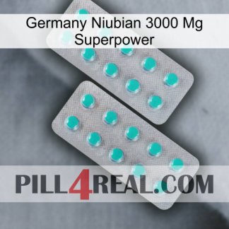Germany Niubian 3000 Mg Superpower 29